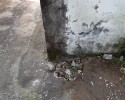 시골 마을회관 화장실 지하누수